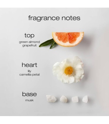 Компоненты аромата маски для волос Интенсивно увлажняющая маска для сухих и обезвоженных волос Shu Uemura Urban Moisture Masque,